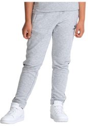 Spodnie dresowe Erima Essential Team szare junior. Szare szorty męskie Erima, bez wzorów, z bawełny, sportowe. Za 287.99 zł.