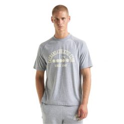 Koszulka DIADORA T-SHIRT SS 1948 ATHL. CLUB. Szare t-shirty męskie Diadora, m, bez wzorów, bez kołnierzyka. Za 99.99 zł.