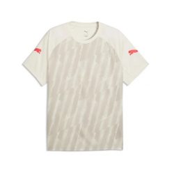 Męska koszulka piłkarska z grafiką individualLIGA PUMA. Szare t-shirty sportowe męskie Puma, m, z materiału, bez ramiączek, do piłki nożnej. Za 129.00 zł.