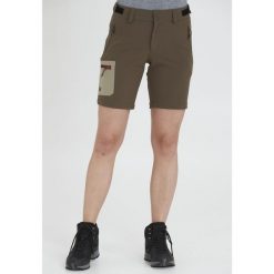 Spodenki damskie Whistler Globe Stretch. Szare szorty damskie WHISTLER, bez wzorów. Za 199.99 zł.