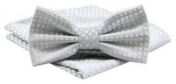 Mucha Męska Alties z Poszetką - Jasnopopielata. Szare krawaty i muchy męskie Alties, bez wzorów, eleganckie. Za 54.00 zł.
