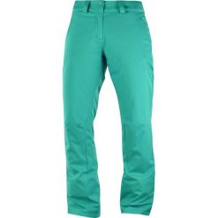 Salomon Damskie spodnie narciarskie Stormpunch Pant W Waterfall S. Spodnie materiałowe damskie Salomon, s, narciarskie. W wyprzedaży za 435.00 zł.