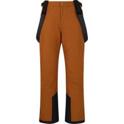 Spodnie narciarskie męskie Whistler Drizzle W-PRO 10000. Żółte spodnie materiałowe męskie WHISTLER, bez wzorów, sportowe. Za 319.99 zł.