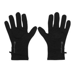 Męskie Rękawiczki Z Logo. Czarne rękawiczki męskie CHAMPION, bez wzorów. Za 112.99 zł.