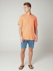 Koszulka męska Protest PRTBRADIE t-shirt. Brązowe t-shirty męskie Protest, na lato, l, bez wzorów, z dzianiny, bez kołnierzyka. Za 109.90 zł.