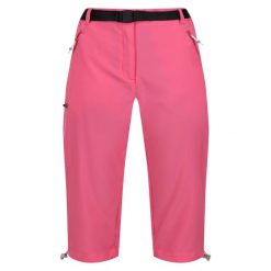 Casualowe Shorty Damskie Rozciągliwa Xert. Czarne spodnie dresowe damskie Regatta, xs, bez wzorów. Za 103.99 zł.