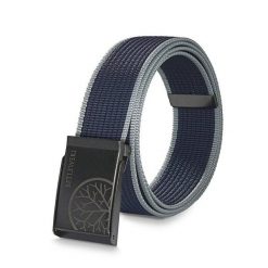 Pasek parciany BETLEWSKI PRC-15_GR-3 M szary. Szare paski męskie Betlewski, bez wzorów, z materiału. Za 34.99 zł.