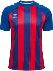 Koszulka Hummel Match. Czerwone t-shirty damskie HUMMEL, xl, z poliamidu, bez ramiączek, do piłki nożnej. Za 219.50 zł.