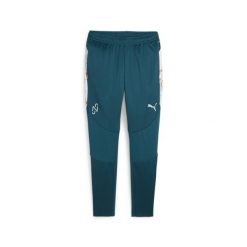 Piłkarskie spodnie treningowe PUMA x NEYMAR JR Creativity PUMA. Brązowe spodnie dresowe męskie Puma, bez wzorów, z dresówki. Za 229.99 zł.
