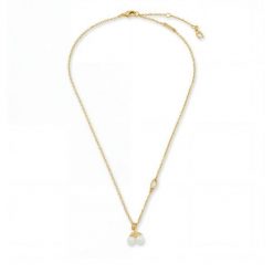 Naszyjnik Coach. Żółte naszyjniki damskie Coach, złote. Za 399.99 zł.