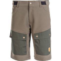 Spodenki trekkingowe męskie Whistler Eric. Zielone szorty męskie WHISTLER, z elastanu, bez kołnierzyka. Za 186.99 zł.