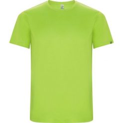 Męska Koszulka Sportowa Imola Z Krótkim Rękawem. Zielone t-shirty sportowe męskie ROLY, m, bez ramiączek, trekkingowe. Za 34.99 zł.