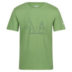 T-shirt Męski Drzewo Breezed IV. Zielone t-shirty męskie Regatta, m, bez wzorów, bez kołnierzyka. Za 46.99 zł.