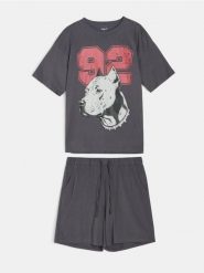 Bawełniana dwuczęściowa piżama z nadrukiem pitbulla - szary. Szare piżamy męskie Sinsay, l, bez wzorów, z bawełny, bez ramiączek. Za 35.99 zł.