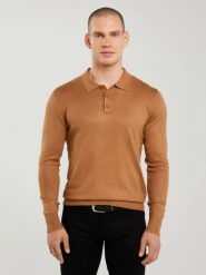 Sweter męski z kołnierzykiem polo brązowy Bradson 802. Brązowe swetry męskie Big Star, l, bez wzorów, z wiskozy, bez kołnierzyka. W wyprzedaży za 129.99 zł.