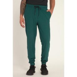 Męskie Spodnie dresowe FLEXNAMIC® materiał szybkoschnący do fitnessu. Zielone spodnie dresowe męskie JAY-PI, bez wzorów, z dresówki. Za 294.99 zł.