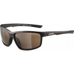 Okulary przeciwsłoneczne Alpina Defey tin. Czarne okulary przeciwsłoneczne damskie Alpina. Za 99.99 zł.