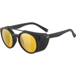 Okulary przeciwsłoneczne Alpina Glace P. Brązowe okulary przeciwsłoneczne męskie Alpina. Za 303.00 zł.
