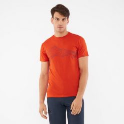 T-shirt męski VIKING Lenta Bamboo Light. Brązowe t-shirty męskie VIKING, m, bez wzorów, bez kołnierzyka. Za 101.99 zł.