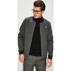 Lacoste - Bluza. Szare bluzy bez kaptura męskie Lacoste, m, z bawełny. W wyprzedaży za 539.90 zł.