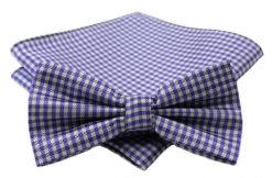 Fioletowa Męska Mucha w Drobną Kratę - ALTIES - z Taką Samą Poszetką. Fioletowe krawaty i muchy męskie Alties, bez wzorów, eleganckie. Za 40.00 zł.