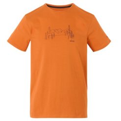T-shirt Męski Z Górą Breezed. Brązowe t-shirty męskie Regatta, m, bez wzorów, bez kołnierzyka. Za 42.99 zł.