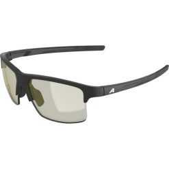 Okulary przeciwsłoneczne Alpina Eagle Q-Lite. Czarne okulary przeciwsłoneczne damskie Alpina, z materiału. Za 219.99 zł.