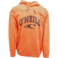 Bluza z kapturem O'Neill LM State, Mężczyźni. Brązowe bluzy z kapturem męskie O'neill, m, z bawełny. Za 290.00 zł.