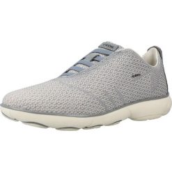 Buty GEOX D NEBULA Niebieski. Niebieskie obuwie treningowe damskie Geox, na fitness i siłownię. Za 412.99 zł.