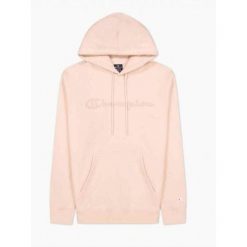 Bluza na co dzień męska CHAMPION ciepła z kapturem. Brązowe bluzy z kapturem męskie CHAMPION, m. W wyprzedaży za 160.85 zł.
