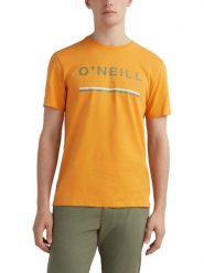 T-shirt męski O'Neill Arrowhead T-Shirt z krótkim rękawem. Brązowe t-shirty męskie O'neill, m, bez wzorów, z bawełny, bez kołnierzyka. Za 119.00 zł.
