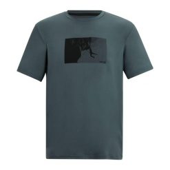 T-shirt Męski Wspinaczka Górska Fingal. Szare t-shirty męskie Regatta, m, bez wzorów, bez kołnierzyka. Za 75.99 zł.
