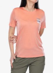 Koszulka damska Ortovox 140 Cool Mtn Gradient TS. Brązowe t-shirty damskie ORTOVOX, l, bez wzorów, z materiału, bez kołnierzyka. Za 274.99 zł.