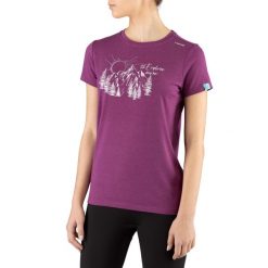 Koszulka turystyczna damska Viking Lenta Bamboo. Szare t-shirty damskie VIKING, s, bez wzorów, z elastanu, bez kołnierzyka. Za 139.90 zł.