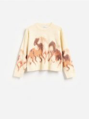 Sweter ze zwierzęcym motywem - wielobarwny. Swetry klasyczne damskie Reserved, l, z dzianiny, bez kołnierzyka. Za 139.99 zł.