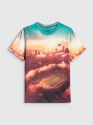 4F T-shirt regular z nadrukiem męski - multikolor XL. T-shirty męskie 4f, m, bez wzorów, z materiału, bez kołnierzyka. Za 99.99 zł.