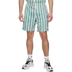 Spodenki męskie Fila sportowe Lastro. Zielone szorty męskie Fila, m. Za 129.99 zł.