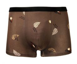 Bokserki Obcisłe, Brązowe w Liście, Bawełniane, Majtki z Elastanem -ALTIES. Brązowe bokserki męskie Alties, bez wzorów, z bawełny. Za 35.00 zł.