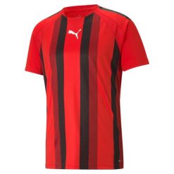 Koszulka Puma Team Liga Striped. Czarne koszulki męskie z długim rękawem Puma, m. Za 161.00 zł.