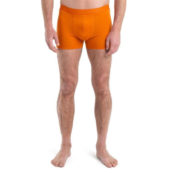 Bokserki Męskie Icebreaker Anatomica Cool-Lite. Brązowe bokserki męskie Icebreaker, bez wzorów, z wełny. Za 139.99 zł.