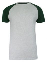 T-shirt Szaro-Zielony Bawełniany, Krótki Rękaw Raglanowy, Dwukolorowy, Męski -BRAVE SOUL. Szare t-shirty męskie Brave Soul, na lato, l, bez wzorów, z bawełny, bez kołnierzyka. Za 45.00 zł.