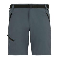 Męskie Spodenki Xert Stretch Shorts. Szare szorty męskie Regatta, bez kołnierzyka. Za 222.99 zł.