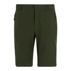 Męskie Spodenki Do Chodzenia Highton II O Długiej Długości. Zielone szorty męskie Regatta, bez kołnierzyka. Za 174.99 zł.