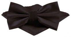 Mucha Męska w Zestawie z Poszetką - Alties - Głęboki Brąz. Krawaty i muchy męskie Alties, bez wzorów, eleganckie. Za 65.00 zł.