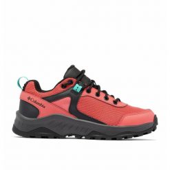 Buty Trailowe Damskie Columbia Trailstorm Ascend Wp. Brązowe obuwie do biegania damskie Columbia. Za 420.99 zł.