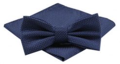 Męska Mucha z Poszetką Alties - Granatowa w Delikatny Groszek. Niebieskie krawaty i muchy męskie Alties, bez wzorów, eleganckie. Za 54.00 zł.