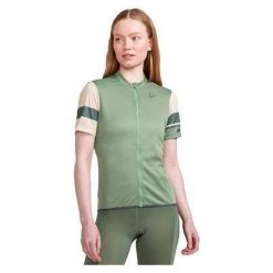 Damski jersey Craft Core Endure. Brązowe obuwie trekkingowe damskie Craft. Za 287.00 zł.