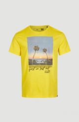 T-shirt męski O'Neill Loren T-Shirt z krótkim rękawem. Żółte t-shirty męskie O'neill, na lato, m, bez wzorów, z bawełny, bez kołnierzyka. Za 139.00 zł.