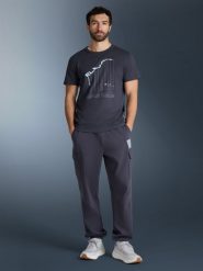 4F T-shirt regular z nadrukiem męski - szary L. Szare t-shirty męskie 4f, l, bez wzorów, z bawełny, bez kołnierzyka. Za 69.99 zł.