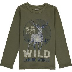 Koszulka w kolorze khaki. Brązowe t-shirty chłopięce Lamino, bez wzorów, z materiału, bez ramiączek. W wyprzedaży za 35.95 zł.